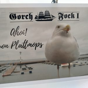 Postkarte "Plattmops"